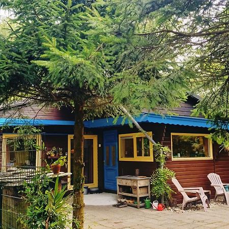 Het Houten Boshuisje Hattemerbroek 외부 사진